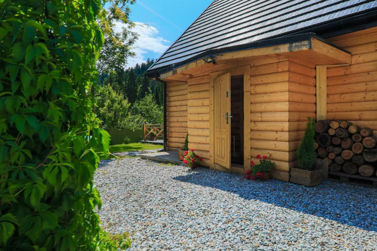 Domek Nad Potokiem Nowy Targ Extérieur photo
